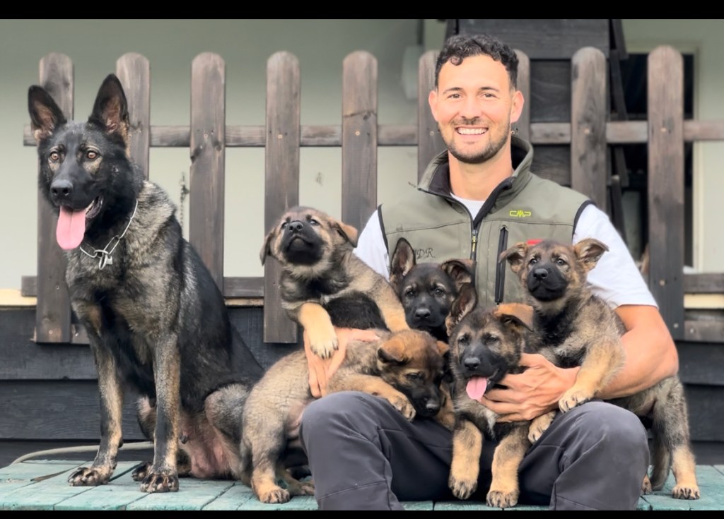 Camada de Yoko Jardines del Real y Xavi de Jardines del Real